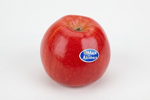 84383 31b9d761 08b4 410c a655 88d667cc0440 maca 84383 31b9d761 08b4 410c a655 88d667cc0440 maca