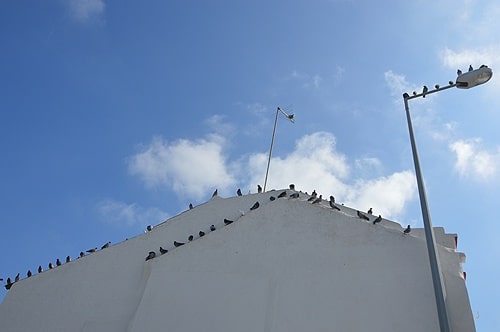 85651 c2968c9e a692 4a40 8213 7283fe20f805 praga