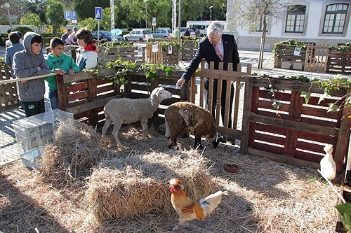 88933 ebd98016 51ff 4258 87c6 f18e4d9daa29 quinta