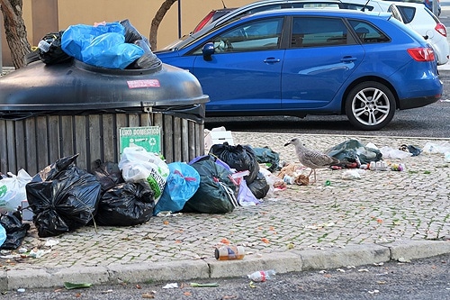 88996 2c8c443b e911 4ffa bd0e 04c0655248b5 toma