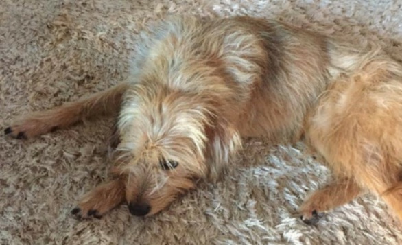 102148 39f32341 2eb0 4c94 9deb 31ebd8dae9d4 f5b0f648 f1a4 4eaa 93e3 360b6876eb90 cadela