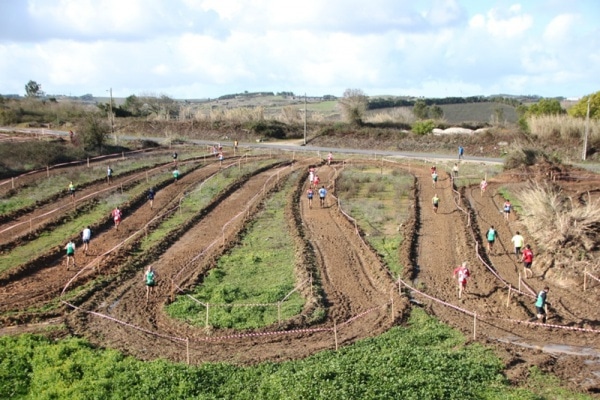 102653 dc295ecd c2b6 4345 9bb5 2b400cbc8be4 c201564b d724 47ac b042 478f3b948046 corta 102653 dc295ecd c2b6 4345 9bb5 2b400cbc8be4 c201564b d724 47ac b042 478f3b948046 corta