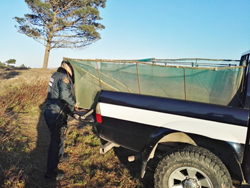 102677-96c07bfa-1145-411c-b604-6a84d722528c-9dfaede0-a33b-47e3-ac46-b3a778a01e12-meixao