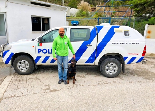 102894 e5a8e1f5 1692 4dbc 988d e2a263312e1d 94deccc1 291d 41e0 bb4e bf95f7182b4c dog 102894 e5a8e1f5 1692 4dbc 988d e2a263312e1d 94deccc1 291d 41e0 bb4e bf95f7182b4c dog