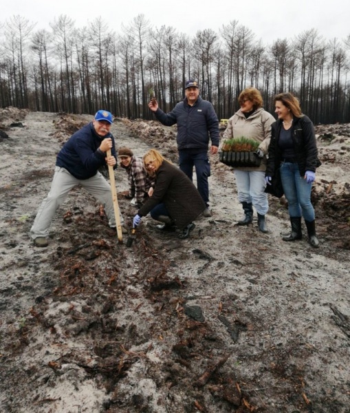 102955 7b724e84 fe35 4ee9 a0dc cd2a7b08d321 2016ea1c 4ee5 41ee a06c 542b0005b121 rotarios 102955 7b724e84 fe35 4ee9 a0dc cd2a7b08d321 2016ea1c 4ee5 41ee a06c 542b0005b121 rotarios