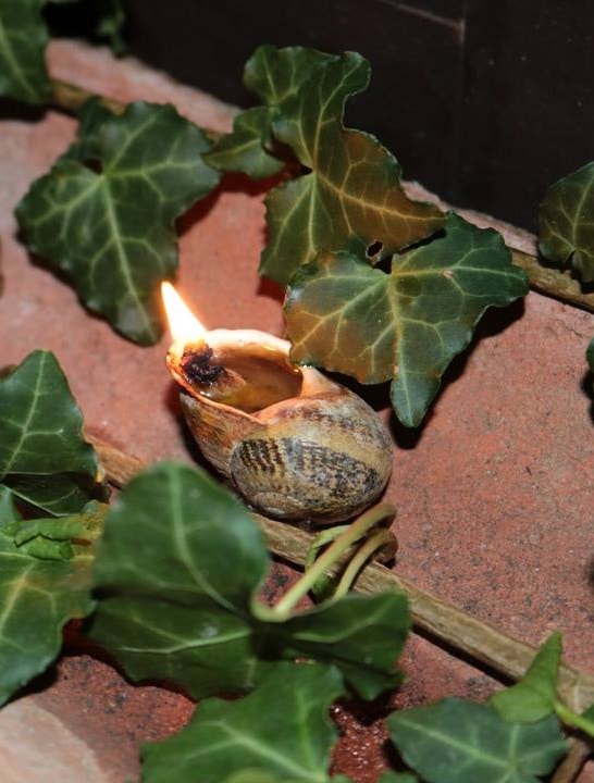 103031-ad9c7dbc-da5f-428a-a6d6-a504cd6376dd-98035bf9-bc73-4013-8d5f-87a824caa4bc-caracois1