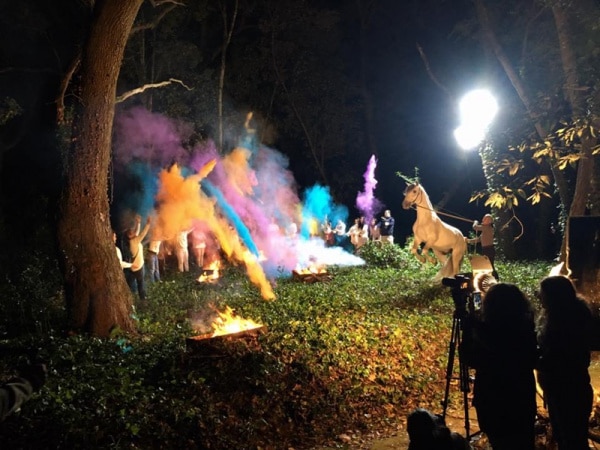 103038 db38ab3f 3e5f 46b1 8603 6e51a0f1cee0 475470ed da83 4f66 b06e 6237af795f06 lusitano