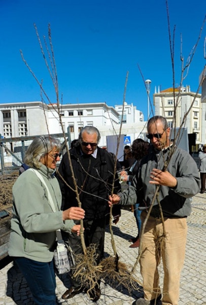 103051 ec9be4d3 e9f8 4dc8 a76a 1d84e8050011 3409690f 4136 40fc 9a93 a53c000a388b arvores 103051 ec9be4d3 e9f8 4dc8 a76a 1d84e8050011 3409690f 4136 40fc 9a93 a53c000a388b arvores