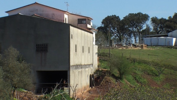 103275 d8e9de02 b285 4025 8f21 4018394e095b 86379dc3 5009 4978 9194 1262c0ecfa9b mulher