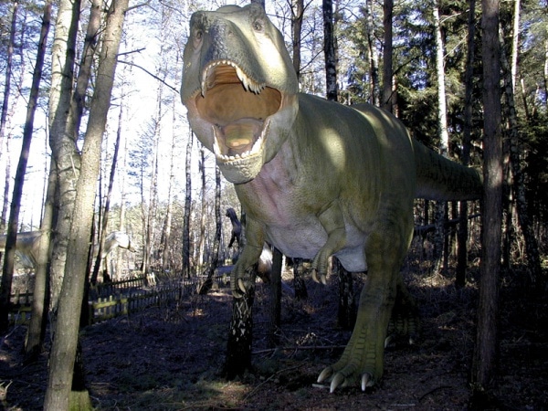 103282 02082940 3ecb 40db a34f 2e5c566133e0 733984dd 03f3 4bbf bcc8 fccb04f409b5 dino 103282 02082940 3ecb 40db a34f 2e5c566133e0 733984dd 03f3 4bbf bcc8 fccb04f409b5 dino