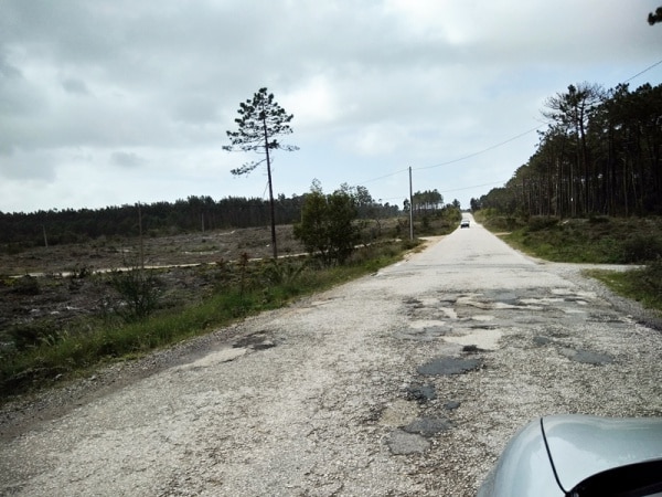 103357 9835c323 f6c1 44d2 8bcf 1a4641dceb47 6ceef025 f8e5 4af9 8095 58104b038be3 estrada