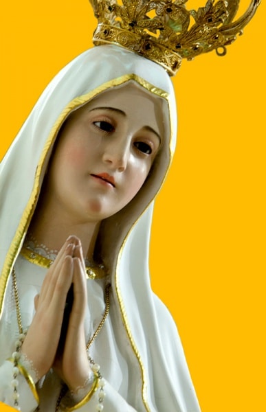 103358 cb7b2884 1959 478d a3d8 8db98fd3af8e 66e2bbfe 25e8 43db 9900 29773235103f imagem