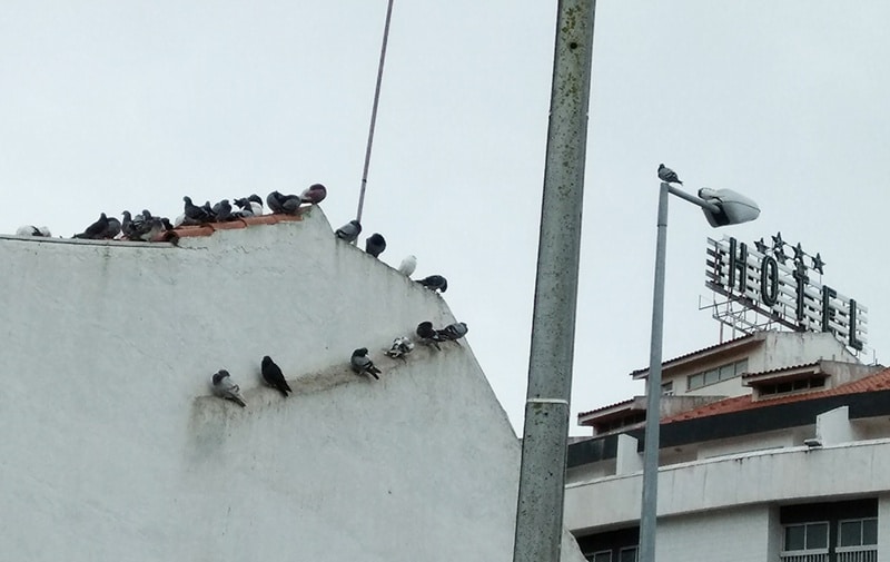 103394-70d1b81e-e6f2-47a0-9b1e-6c224787a08c-cf9e75c7-f4dd-4890-bbe7-f459927fcdad-pombos