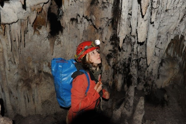 103398 c06d9278 0dff 48b1 89d7 fe4a2eddfe88 13f84c61 88d4 446d bf9e 09e05f4697cc escorpiao1