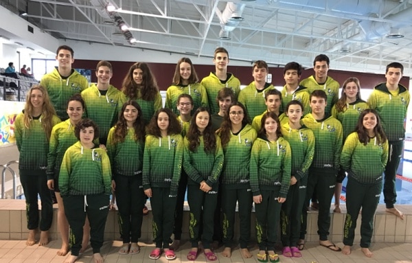 103414 e67fdb92 00a4 40d1 8ee3 1c8c9db8e492 334d31b4 8beb 4f89 bece e1daa61b40b8 distrital