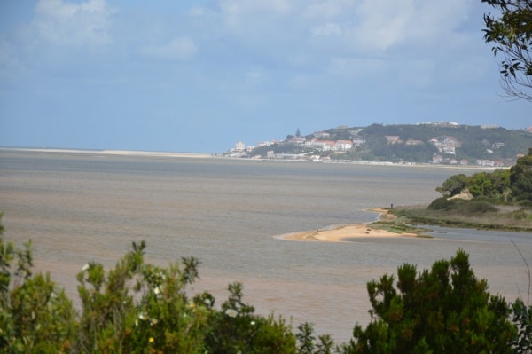 103485 331acc4b fac9 4cb7 b065 b169ae9178c0 eef95ad6 e6c5 4a8e b03c 81785eb5e03b lpn 103485 331acc4b fac9 4cb7 b065 b169ae9178c0 eef95ad6 e6c5 4a8e b03c 81785eb5e03b lpn