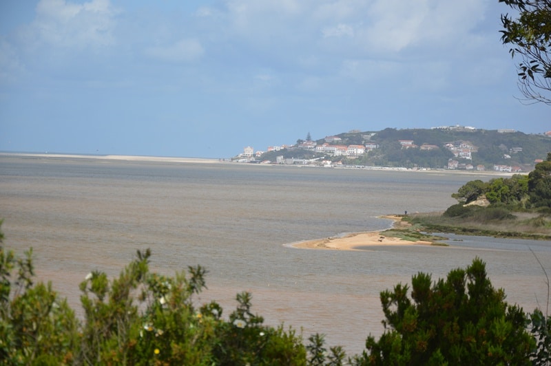 103485-331acc4b-fac9-4cb7-b065-b169ae9178c0-eef95ad6-e6c5-4a8e-b03c-81785eb5e03b-lpn