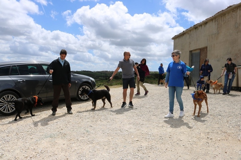 103716-cdd209d5-5272-42fd-89ce-64ce647d2968-52fe7ef0-5aa1-4d78-85ac-144c453cb28b-cao