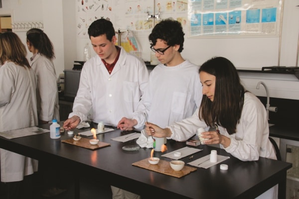 103744 55158583 663f 4a70 97c6 4af3e6e7652e 27c9df85 eec5 4579 a764 7ee7264208ae dia aberto bordalo 1