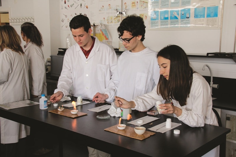 103744-55158583-663f-4a70-97c6-4af3e6e7652e-27c9df85-eec5-4579-a764-7ee7264208ae-dia-aberto-bordalo-1