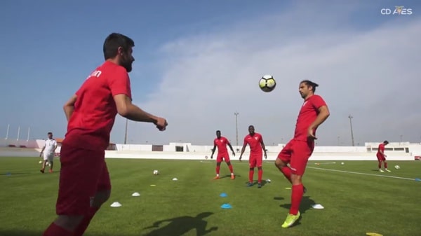 103756 645a9916 370b 4c19 8818 7e570c4943ef 6e548bf8 e398 4abf 8558 b43072e2f9a0 aves