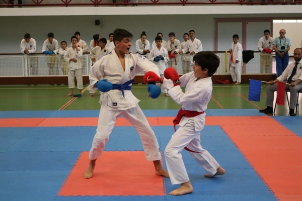 103764 a1a2c811 10c9 4199 81da 8b10b428fd59 999eedef 3632 4a5a 855b 19a92be6e16f karate