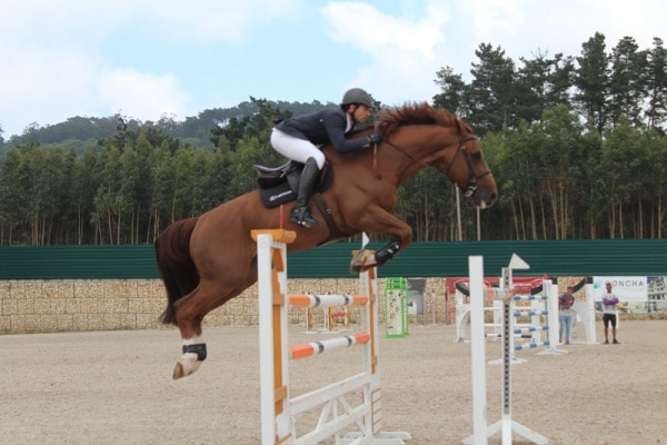 103856 d293245a a3a6 4532 9145 79042969dd7a e29457a0 545e 4774 a3dc da4a75709eec ceia