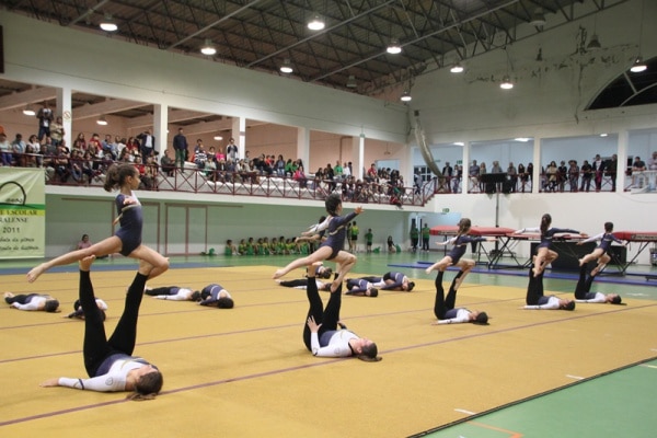 103859 d8aa4781 351c 413e 90ec 3f0ef3b5c317 d4234eb1 79e6 4ef9 9504 c2d0cf124258 festigym1