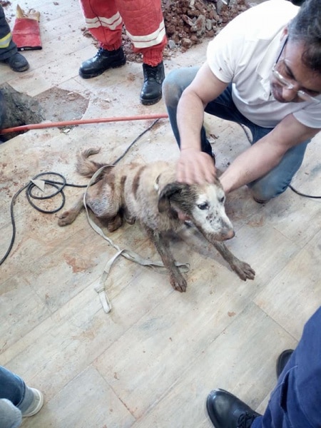 103885 1e15a6df 0d57 41f9 b14b 8b6a0ba29de2 984fabc7 9e4c 4c69 a719 6df411447cce cao