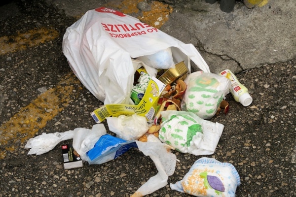 104055 a2d99922 b833 4c9d 8ccc 4a29bb057e8b ad91c0c9 3adc 49de be8e 34127ae0cea8 toma