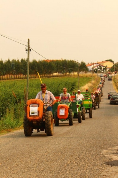 104067 5f1e7d15 2781 4a7c 8f29 d6bda4f36043 be6e5c44 f56b 4958 81b7 ee6566ebcac2 batata