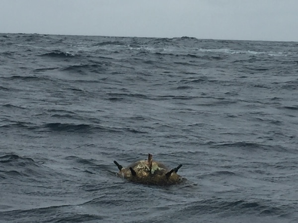 104105 80bc592a 4128 40b6 bb8e a2e6be31d880 98e30787 4e10 4521 81f6 1fa8219a598a mina