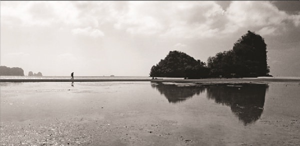 104227 6c8a7fb8 fd6d 4c96 9834 612c4ac2bd15 f2e2d616 d848 4c89 9c53 092e2eed2fb4 reflexos