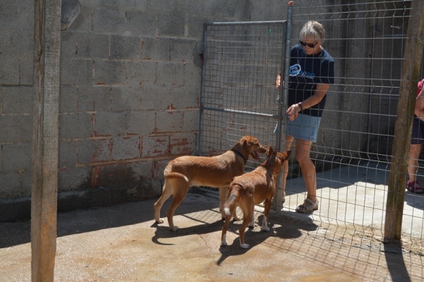 104243 276f1925 ab8a 4b24 90d8 453a7a8eca80 3a4317a0 32a0 48b4 a64f 5f309191ae91 crapaa1