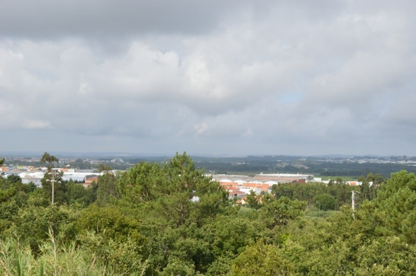 104451 34bb0884 ca98 472e a79c fa261d5aec91 d350084e a947 43d0 85ba 4725fc41dfd3 tempo 1