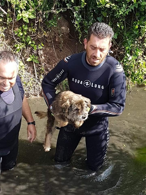 104588 611b59a9 7980 4cb6 be56 06f8de708b42 613b7c4e b524 4400 83d1 4a72573ff57e animal