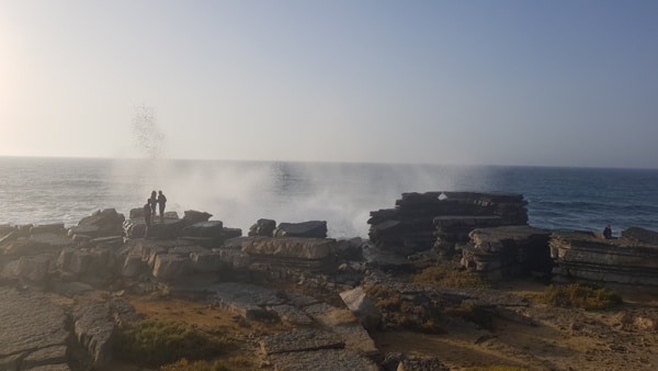 104747 7a2cf797 8886 42d9 b08f e838daf8503c 05da90c2 88ec 403f 84de 8e38008fa700 arribas