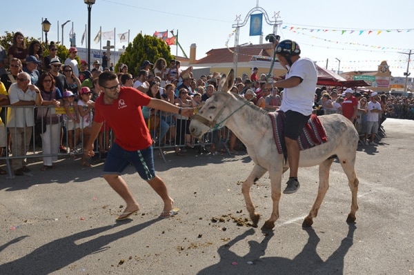 104764 23295321 0bba 42b9 b5ad 0de01f40f70c 30b73af2 3531 4d0b bac1 af555c6b8322 burros9