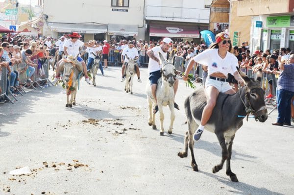 104768 136c70b6 3721 4a98 9661 9203424ba29d e969b2b7 c047 4c8b 90a7 7a6ac1604762 burros1