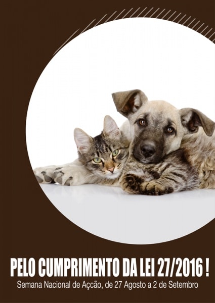 104793 7715898d 8e69 41a0 8892 b89a056ee447 3d7fa7ea 9ce7 47d1 9cbb 0125d40de67e crapaa