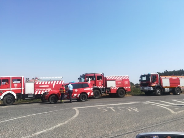 104800 c3334432 10da 42bc 879b 2c881f52dfce a3c3b109 166f 4c5c 94c4 b80ad020bfc8 fogo 1