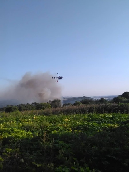 104801 6670e30a 45fd 46fe abb5 db02acd3a4af 72b5ed95 cb1c 436f a95d 2f464c72b7b9 incendio