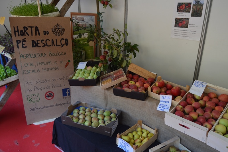 104848-1e1a07cf-3015-4a38-806b-8849b8453cea-52701228-6b55-404b-8900-3d0e6fb9e3c0-biologico1