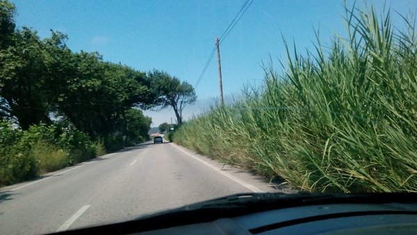 104867 a712c3a7 468b 40a5 99d1 dab59628a5a3 d545817e 59a9 434f 8106 33e5474650cf estrada