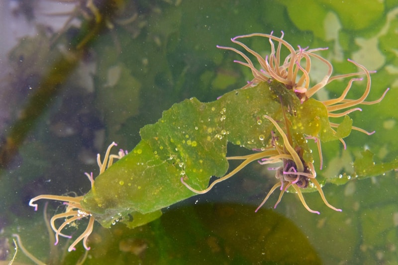 104917-a8ff592f-c20e-4566-8e36-03dd12c49a3b-879b335e-4bab-455f-85bc-889890059dcb-alforrecas1