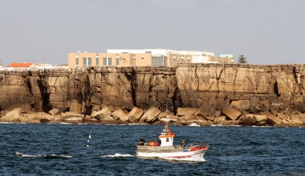 104956 51106fb7 fba7 47d5 a2a8 c24d7655b2ea 2d1873ba ada0 46eb b6d9 d8bd4f38ba8b estm 104956 51106fb7 fba7 47d5 a2a8 c24d7655b2ea 2d1873ba ada0 46eb b6d9 d8bd4f38ba8b estm