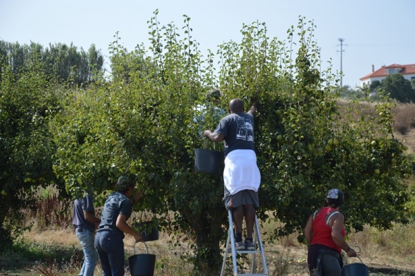 104960 2a2ebbd8 0ed5 4e59 9d4d 85927f9806eb 59139b9d 5b41 4170 b71b 9d27d87c1d96 pera rocha 1