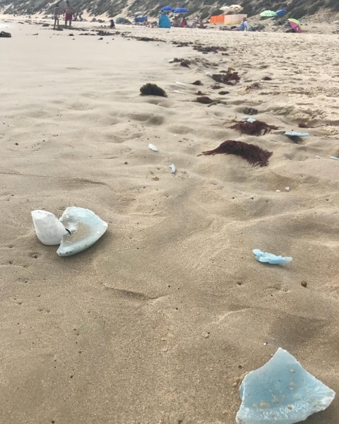 105024 970e5f2f f6db 47c0 9809 371365fe569d 189a7513 4f43 4cd0 9ce3 56a20f778923 gamboa