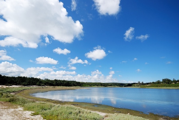 105082 3447581a f586 406a 875a 7482efeaa66c 5d71eded d99d 4584 806d a9ee95f97fd5 lagoa 105082 3447581a f586 406a 875a 7482efeaa66c 5d71eded d99d 4584 806d a9ee95f97fd5 lagoa