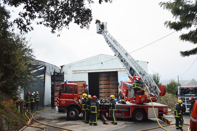 105090-c42447cd-ca8f-4dba-a97f-727e1fb22e6d-b3a16afd-dfae-4b13-961a-f98095789492-armazem1